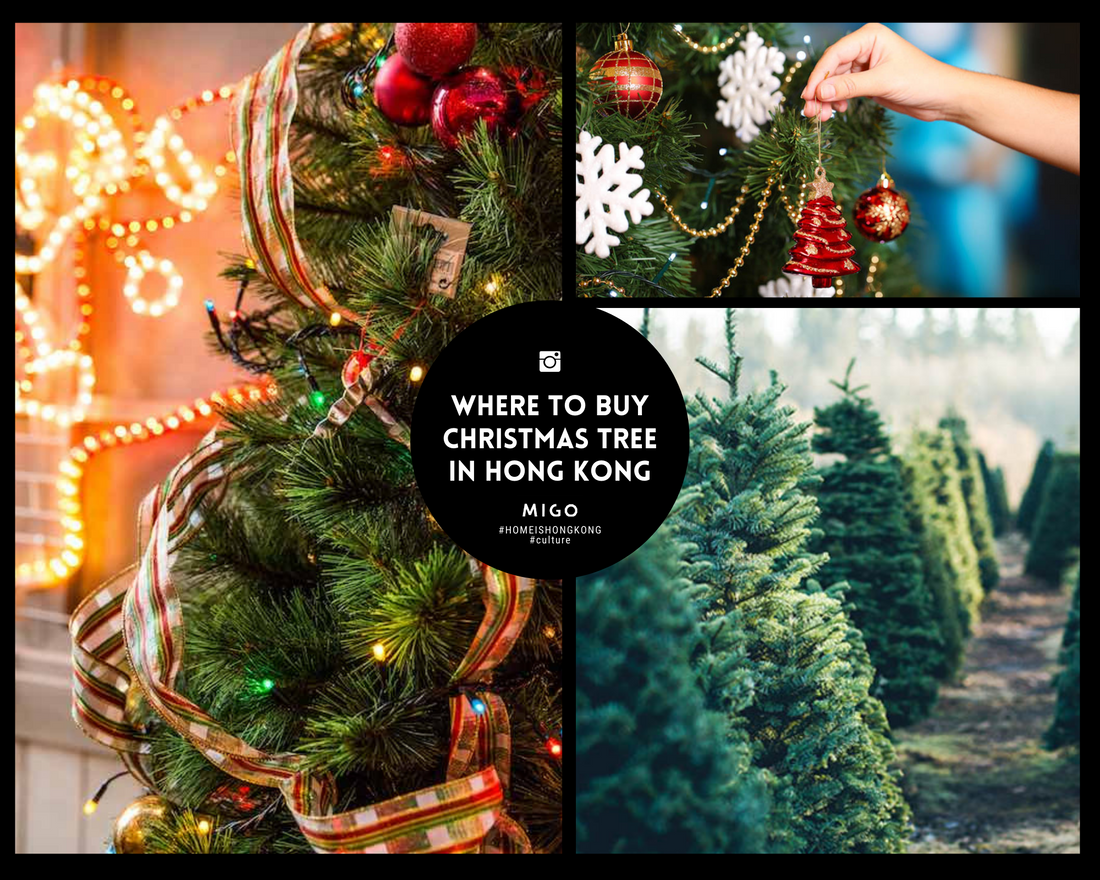 The best places to buy your Christmas tree in Hong Kong