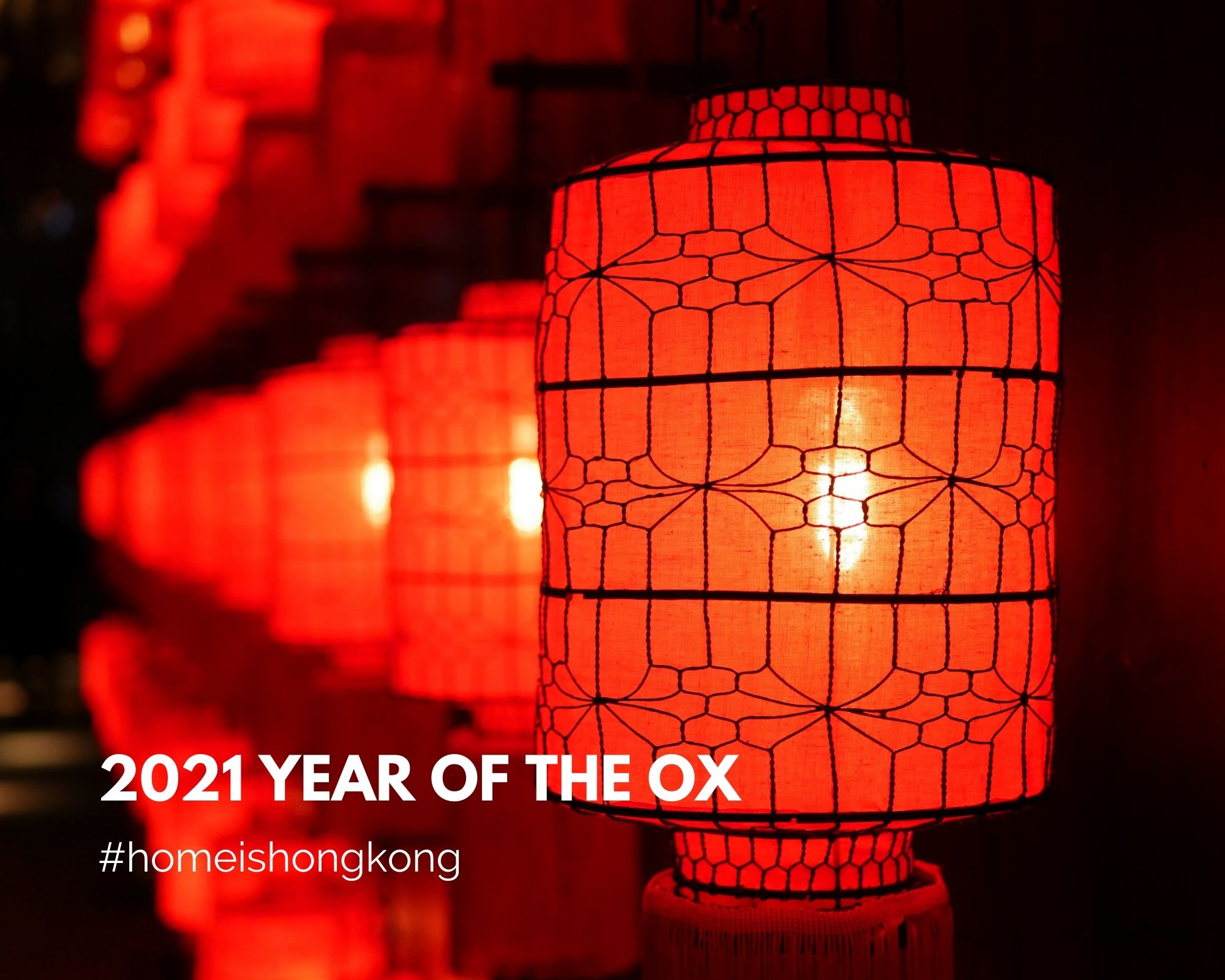 2021 Year of the Ox